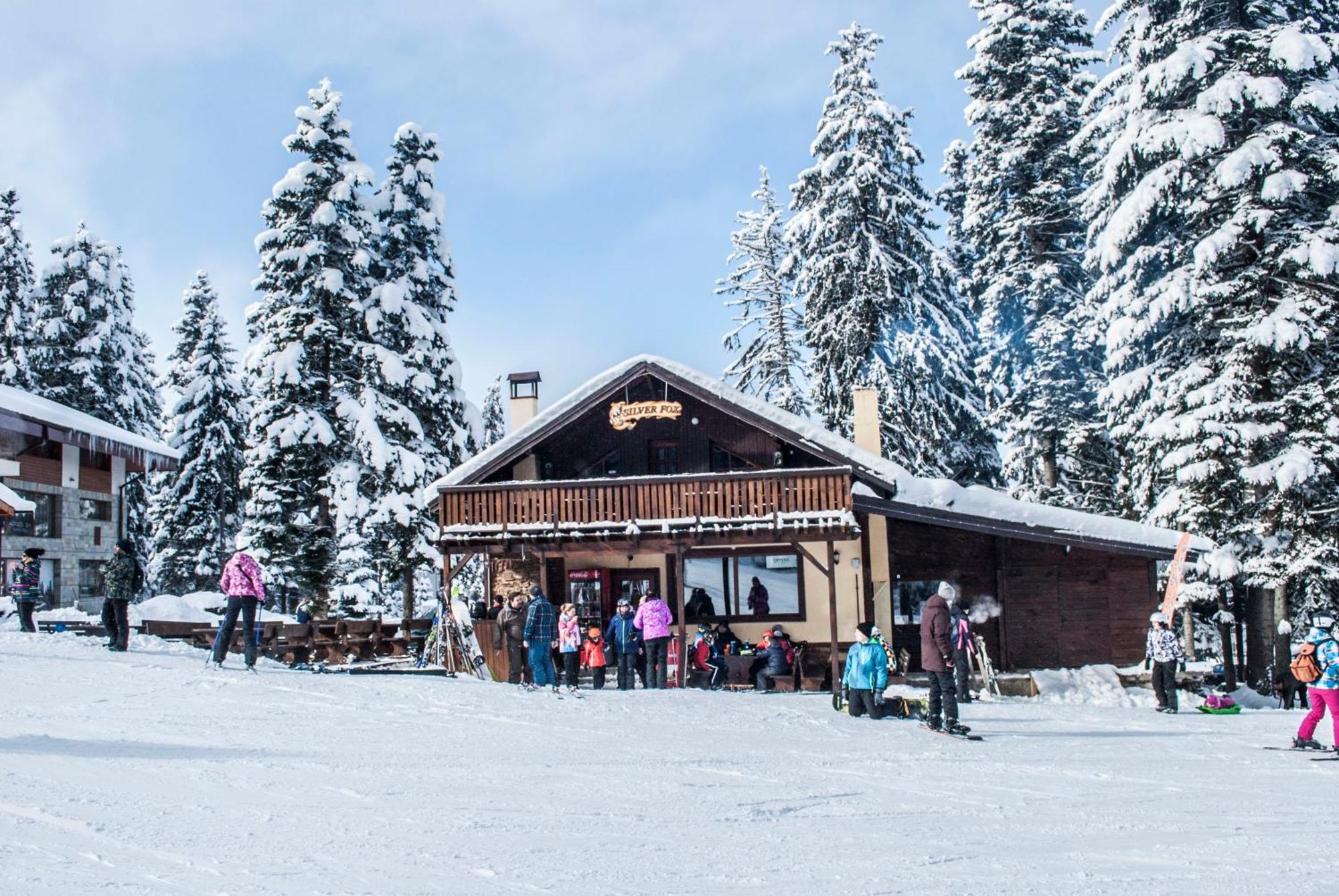 Alpine Ski Chalet Borovets With Sauna ภายนอก รูปภาพ