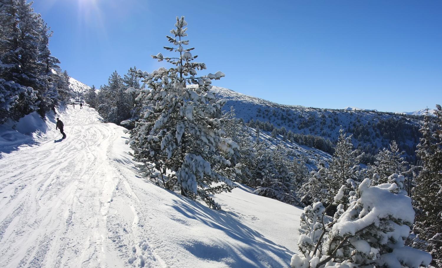 Alpine Ski Chalet Borovets With Sauna ภายนอก รูปภาพ