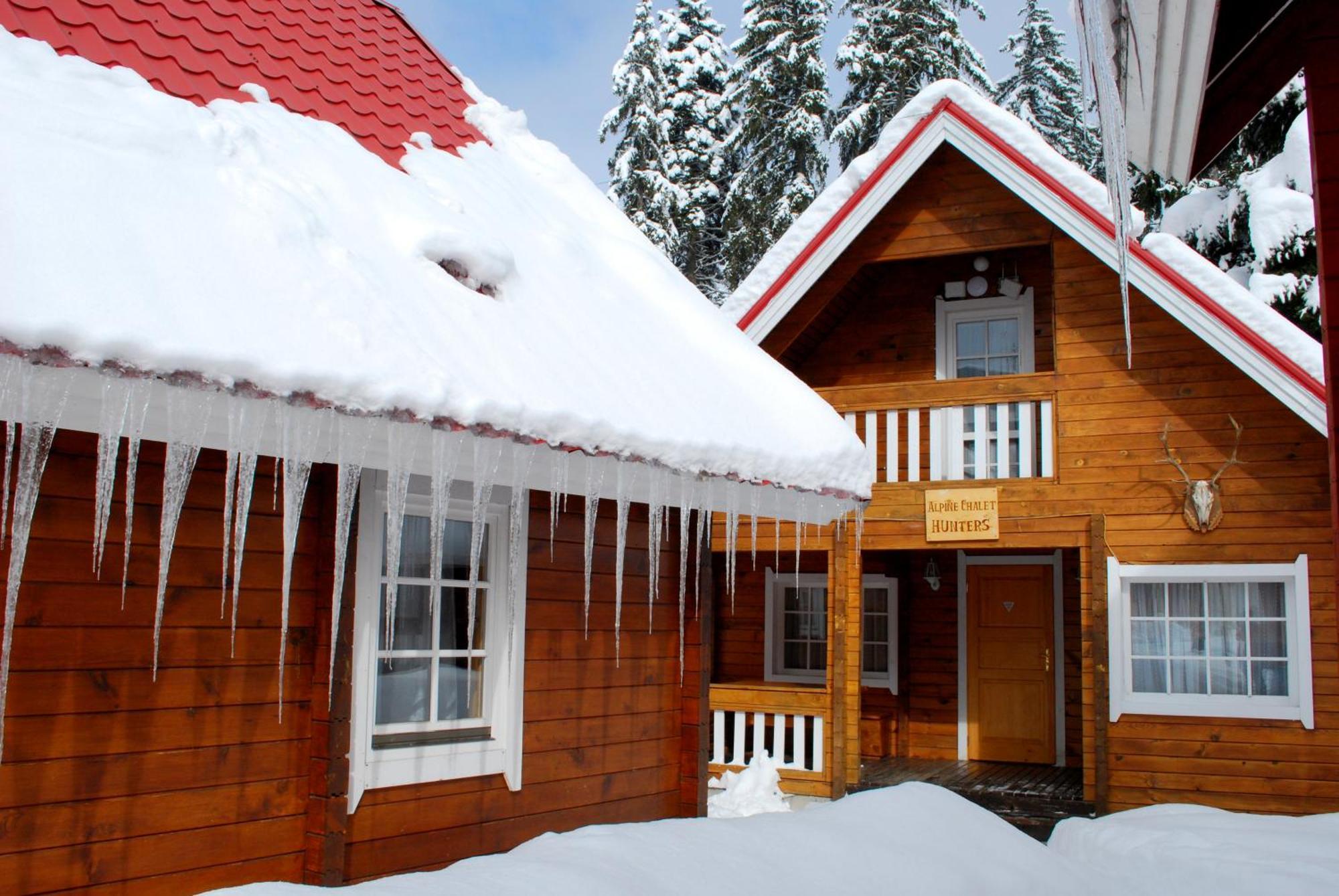 Alpine Ski Chalet Borovets With Sauna ห้อง รูปภาพ